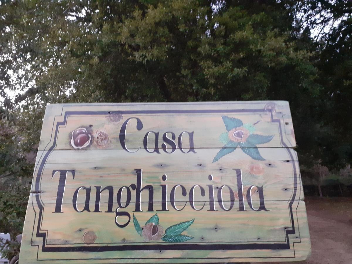 LevieCasa Tanghicciola公寓 外观 照片